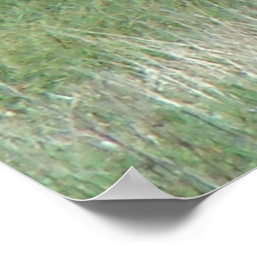 E3 Kuhweiden und Kälber Poster (Ecke)