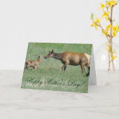 E3a Kuh Elch und Kalbsnase bis Nase Karte (Gelbe Blume)