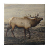 E40 Bull Elk Bugling Fliese (Vorderseite)