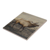 E40 Bull Elk Bugling Fliese (Seite)