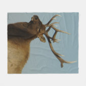 E42 Bull Elk Head and Shoulders Fleecedecke (Vorderseite (Horizontal))