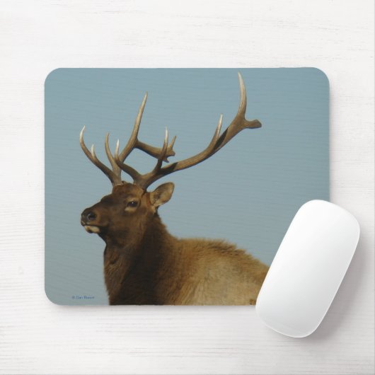 E42 Bull Elk Mousepad (Mit Mouse)