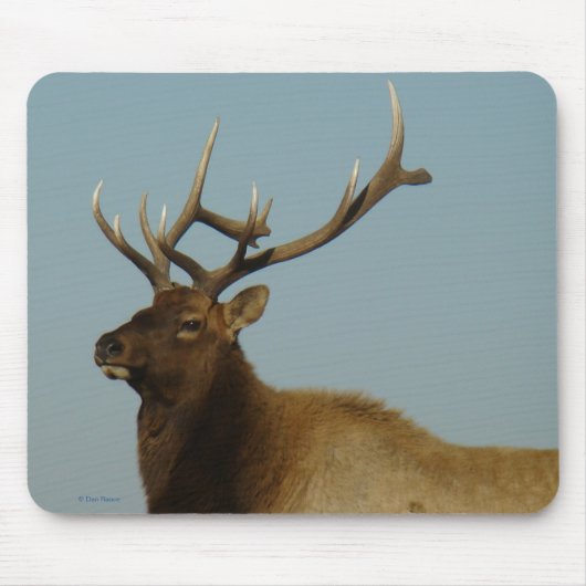 E42 Bull Elk Mousepad (Vorne)