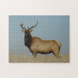 E43 Bull-Elch vor dem Himmel Puzzle