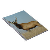 E43 Bull Elk Sky Lined Notizblock (Rechte Seite)