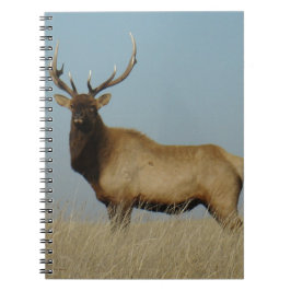 E43 Bull Elk Sky Lined Notizblock