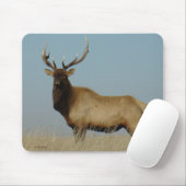 E43 Stier Elche Mousepad (Mit Mouse)