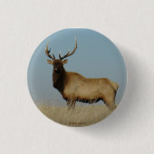 E43 Young Bull Elk Button (Vorderseite)