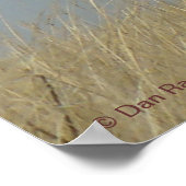 E43 Young Bull Elk Poster (Ecke)