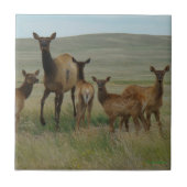 E44 Kuhweih und Kälber Fliese (Vorderseite)