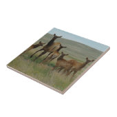 E44 Kuhweih und Kälber Fliese (Seite)