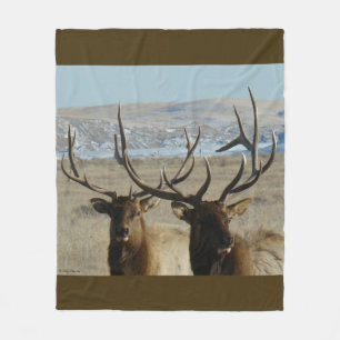 E45 Bull Elk Double Head Shot Fleecedecke