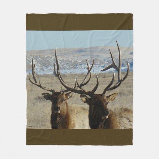 E45 Bull Elk Double Head Shot Fleecedecke (Vorderseite)