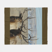 E45 Bull Elk Double Head Shot Fleecedecke (Vorderseite (Horizontal))