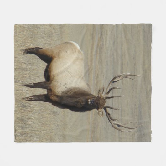 E46 Bull Elk Big Bull Fleecedecke (Vorderseite (Horizontal))