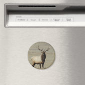 E46 Bull Elk Big Bull Magnet (In Situ (Geschirrspüler))