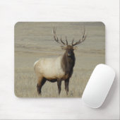 E46 Bull Elk Big Bull Mousepad (Mit Mouse)