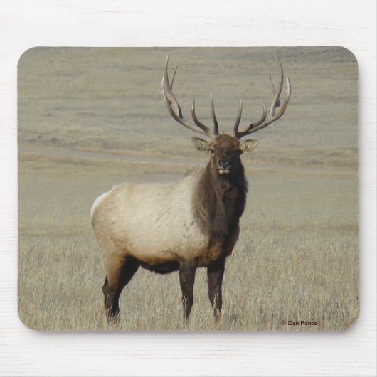 E46 Bull Elk Big Bull Mousepad (Vorne)