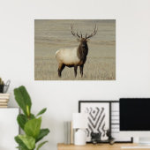 E46 Bull Elk Big Bull Poster (Heimbüro)