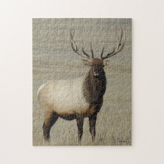 E46 Bull Elk Big Bull Puzzle (Vertikal)