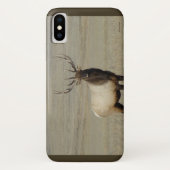 E46 Bull Elk Case-Mate iPhone Hülle (Rückseite)