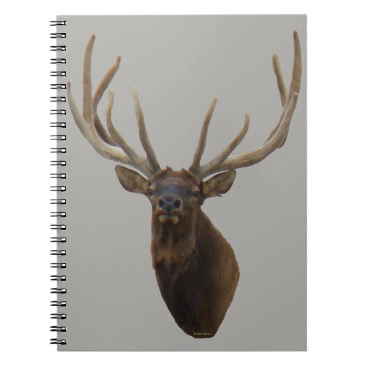E48 Bull Elk Head in Velvet Notizblock (Vorderseite)