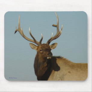 E49 Bull-Elch Kopf und Schultern Mousepad