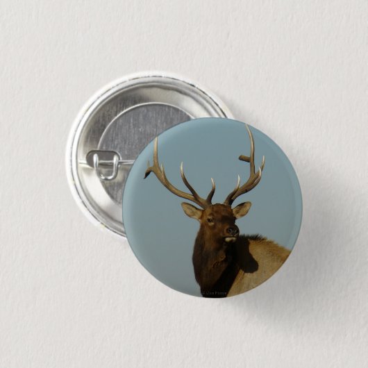 E49 Bull Elk Button (Vorne & Hinten)