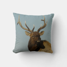 E49 Bull Elk Head and Shoulders
