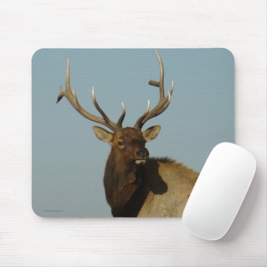 E49 Bull Elk Head and Shoulders Mousepad (Mit Mouse)