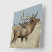 E4 Big Bull Elch Quadratische Wanduhr (Winkel)