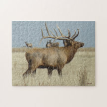 E4 Bull-Elch