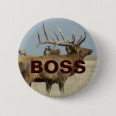E4 Bull Elk Button (Vorderseite)