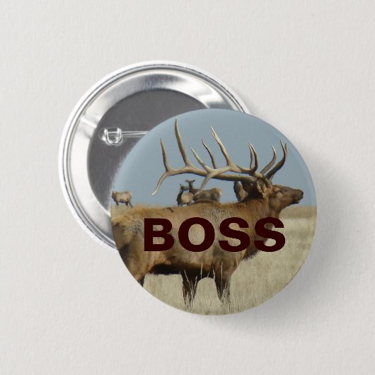 E4 Bull Elk Button (Vorne & Hinten)