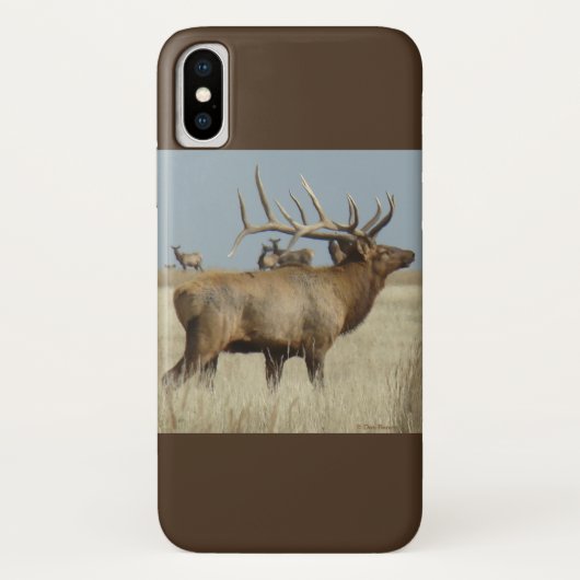 E4 Bull Elk Case-Mate iPhone Hülle (Rückseite)