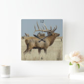 E4 Bull Elk Herd Chef Quadratische Wanduhr (Zuhause)
