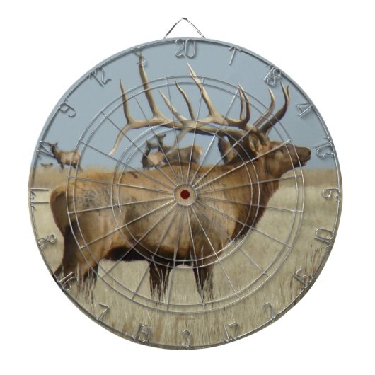 E4 Bull Elk Herd Master Dartscheibe (vorne)