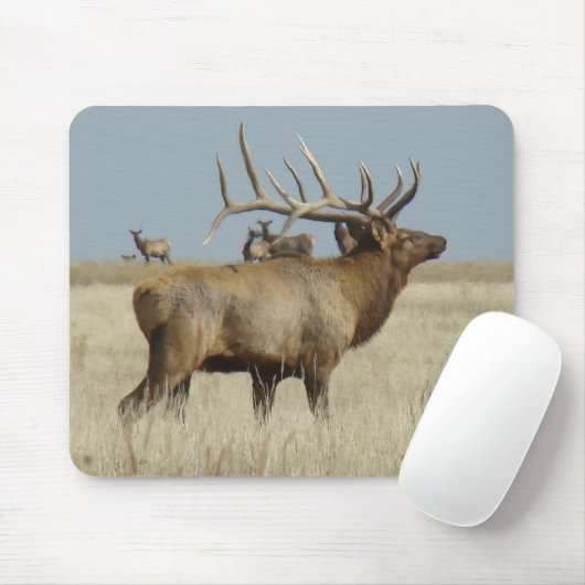 E4 Bull Elk Herd Master Mousepad (Mit Mouse)