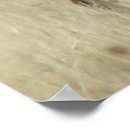 E4 Bull Elk Herd Master Poster (Ecke)