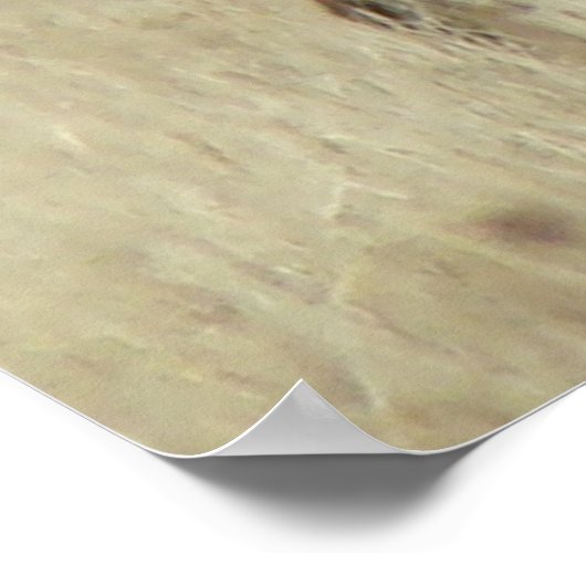 E4 Bull Elk Herd Master Poster (Ecke)