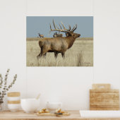 E4 Bull Elk Herd Master Poster (Küche)