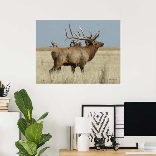 E4 Bull Elk Herd Master Poster (Heimbüro)