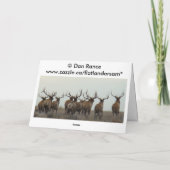 E4 Bull Elk Huge Bull Karte (Rückseite)