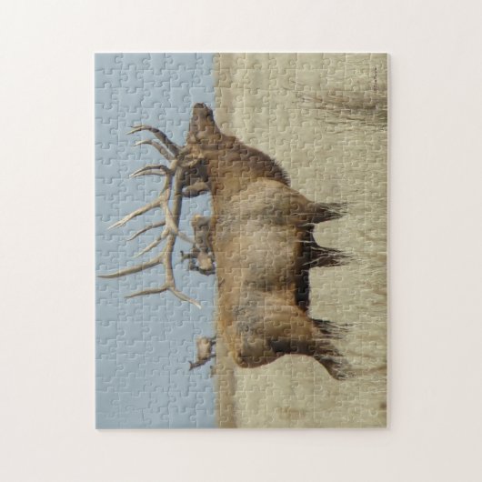 E4 Bull Elk Puzzle (Vertikal)