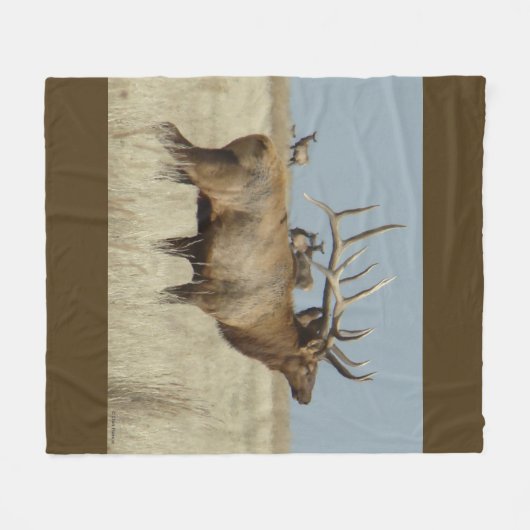 E4 Stier Elch-Herden-Meister Fleecedecke (Vorderseite (Horizontal))