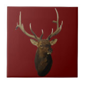 E51 Bull Elk Head Shot Fliese (Vorderseite)