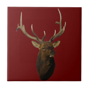 E51 Bull Elk Head Shot Fliese