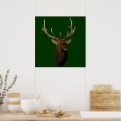 E51 Bull Elk Head Shot Poster (Küche)