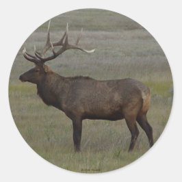 E52 Bull Elk Big Bull Runder Aufkleber