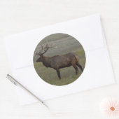 E52 Bull Elk Big Bull Runder Aufkleber (Umschlag)